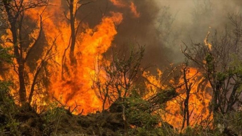 Temblor en Indonesia terminó con la vida de casi cien personas