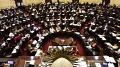 Diputados convirtió en ley el proyecto de protección a víctimas de delitos